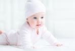 Infant Sweatshirt, Onesie and Pants - 3 pc Set